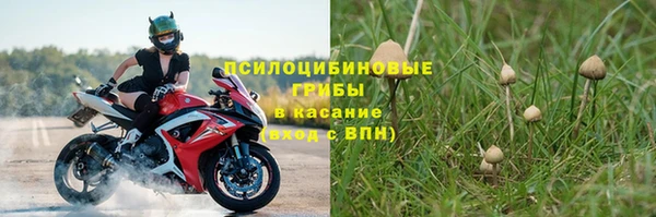 амф Алексеевка