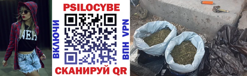 Галлюциногенные грибы мухоморы  Грязовец 